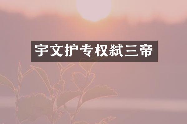 宇文护专权弑三帝