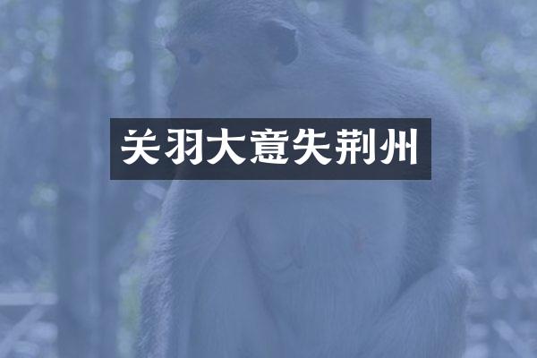 关羽大意失荆州
