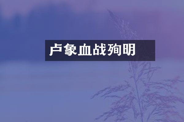 卢象昇血战殉明