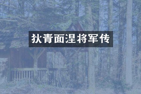 狄青面涅将军传