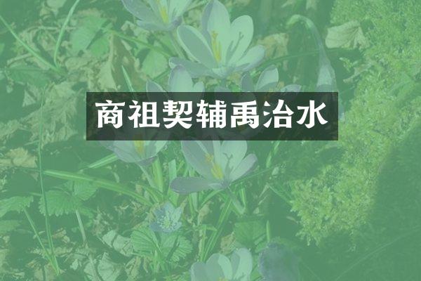 商祖契辅禹治水
