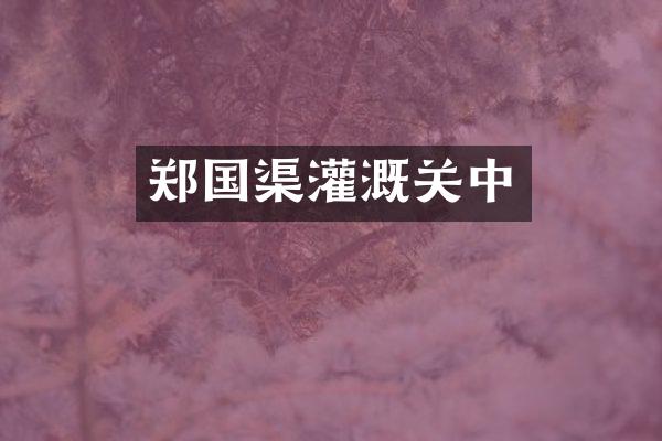 郑国渠灌溉关中