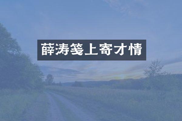 薛涛笺上寄才情
