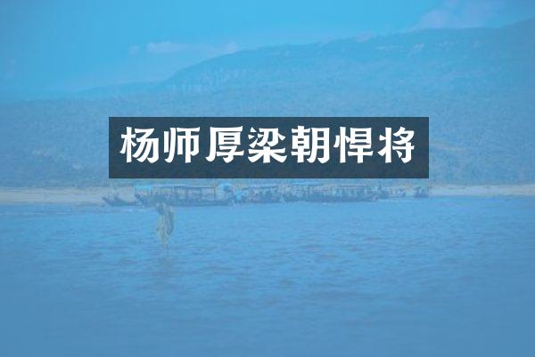杨师厚梁朝悍将