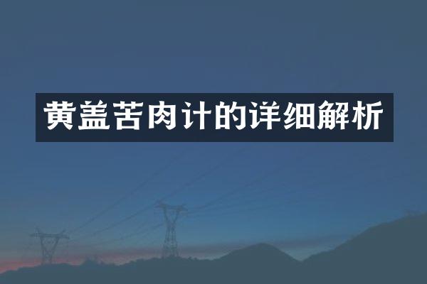 黄盖苦肉计的详细解析