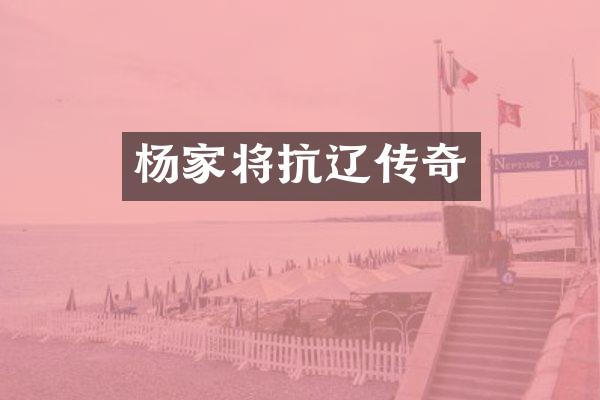 杨家将抗辽传奇