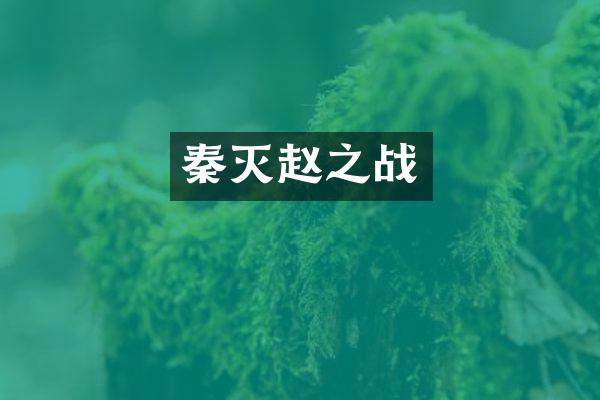 秦灭赵之战