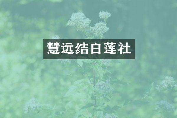 慧远结白莲社