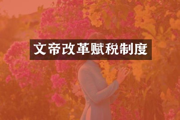 文帝改革赋税制度