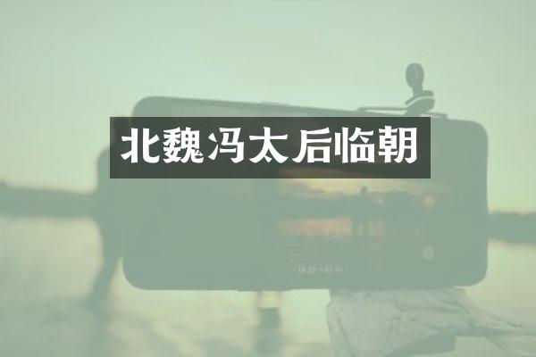 北魏冯太后临朝