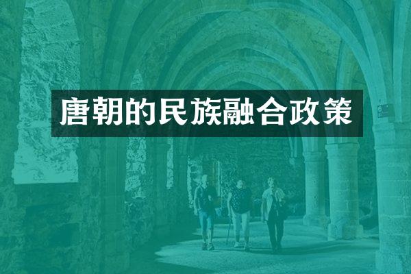 唐朝的民族融合政策