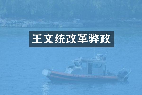王文统改革弊政