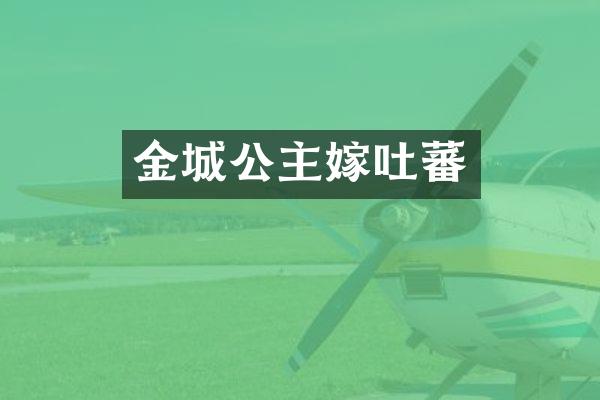 金城公主嫁吐蕃