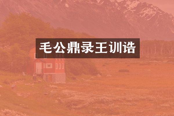 毛公鼎录王训诰