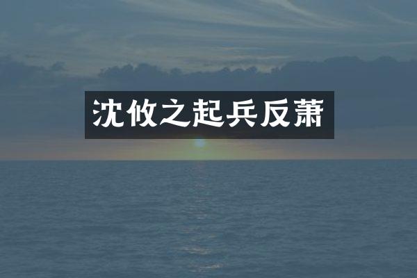 沈攸之起兵反萧