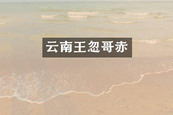 云南王忽哥赤