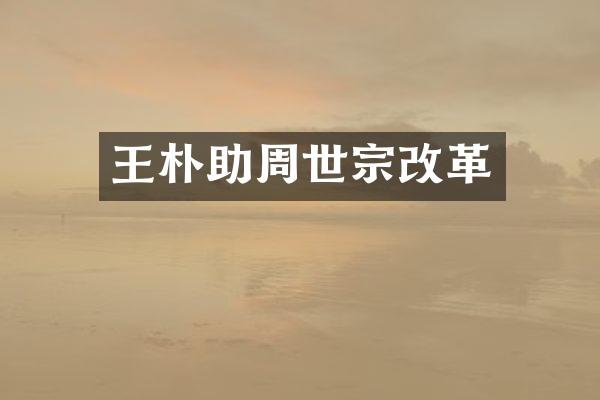 王朴助周世宗改革