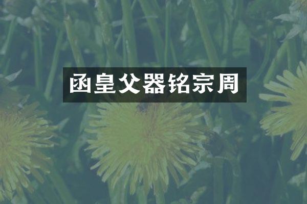 函皇父器铭宗周