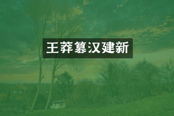 王莽篡汉建新