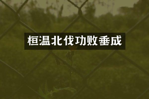 桓温北伐功败垂成