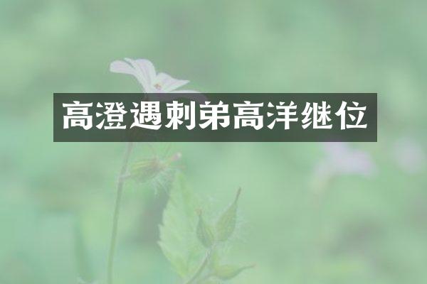 高澄遇刺弟高洋继位