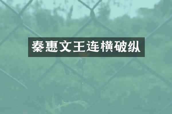 秦惠文王连横破纵