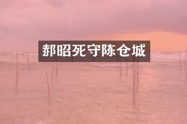 郝昭死守陈仓城