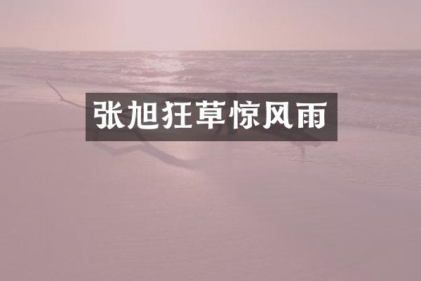 张旭狂草惊风雨