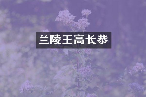 兰陵王高长恭