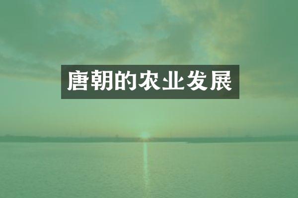 唐朝的农业发展