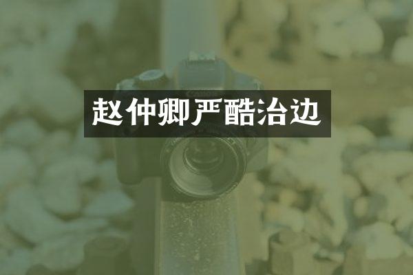 赵仲卿严酷治边