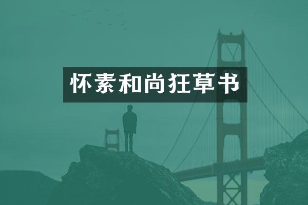 怀素和尚狂草书