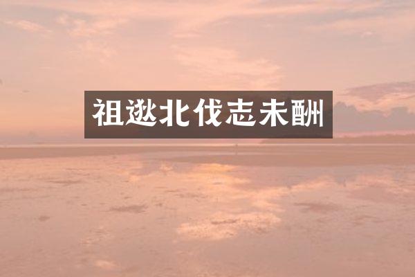 祖逖北伐志未酬