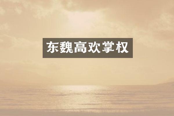 东魏高欢掌权