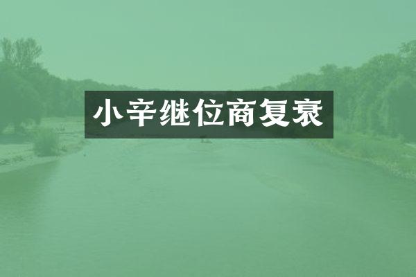 小辛继位商复衰
