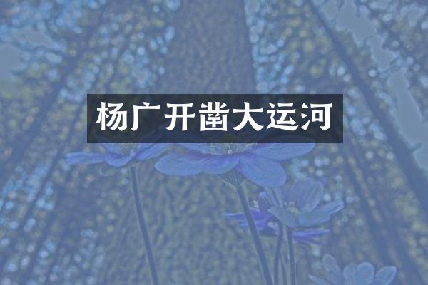 杨广开凿大运河
