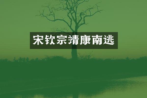 宋钦宗靖康南逃