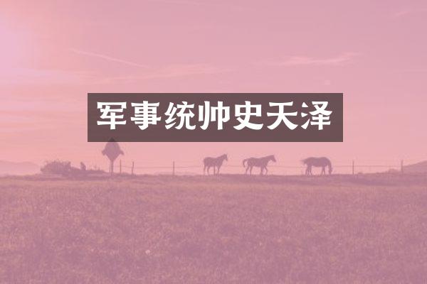 军事统帅史天泽