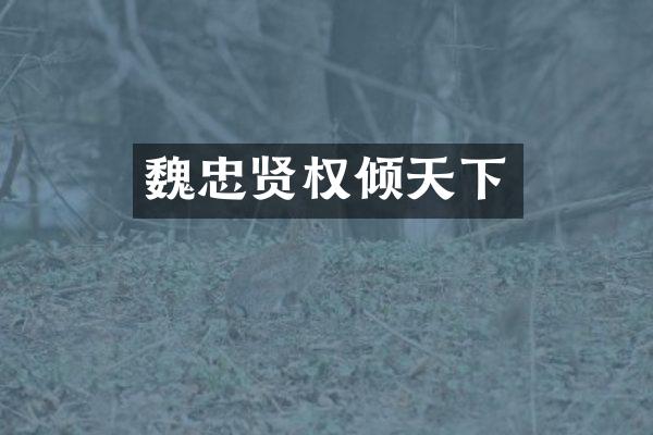 魏忠贤权倾天下