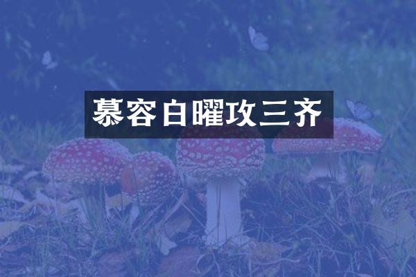 慕容白曜攻三齐