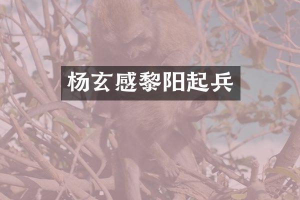 杨玄感起兵