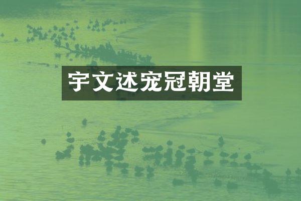 宇文述宠冠朝堂