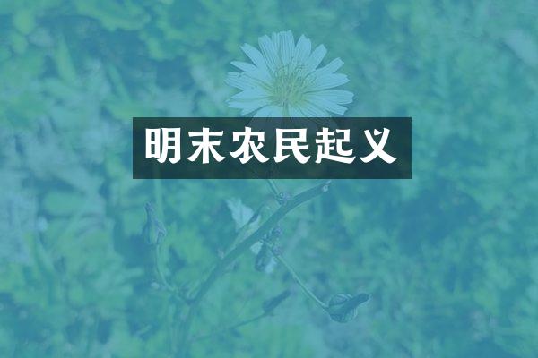 明末农民起义