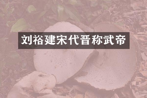 刘裕建宋代晋称武帝
