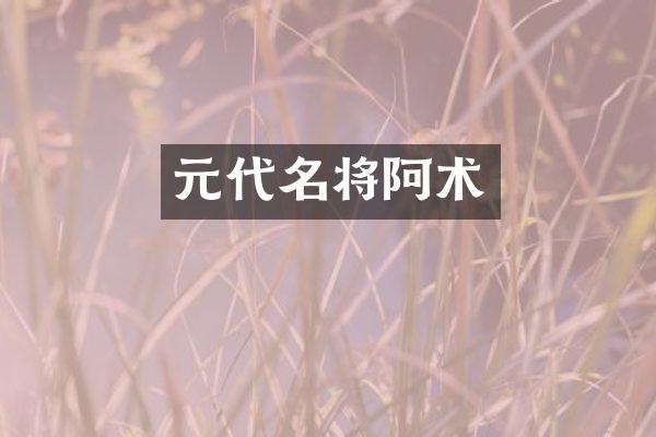 元代名将阿术