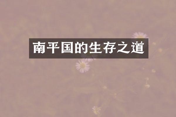 南平国的生存之道