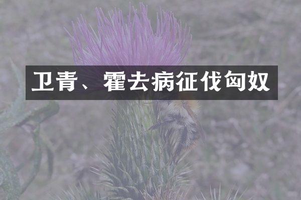 卫青、霍去病征伐匈奴