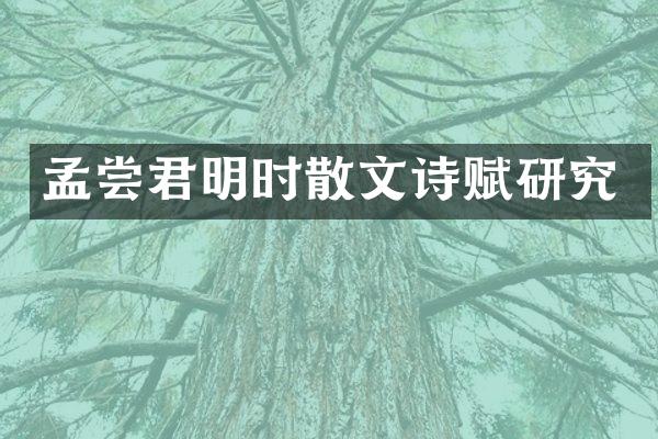 孟尝君明时散文诗赋研究