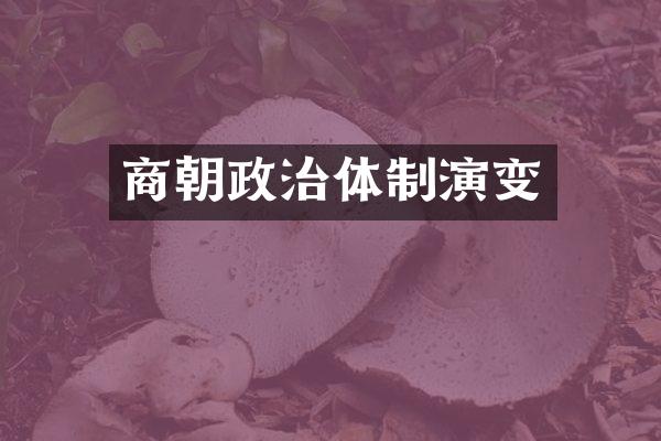 商朝政治体制演变