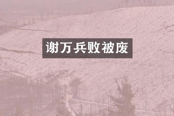 谢万兵败被废